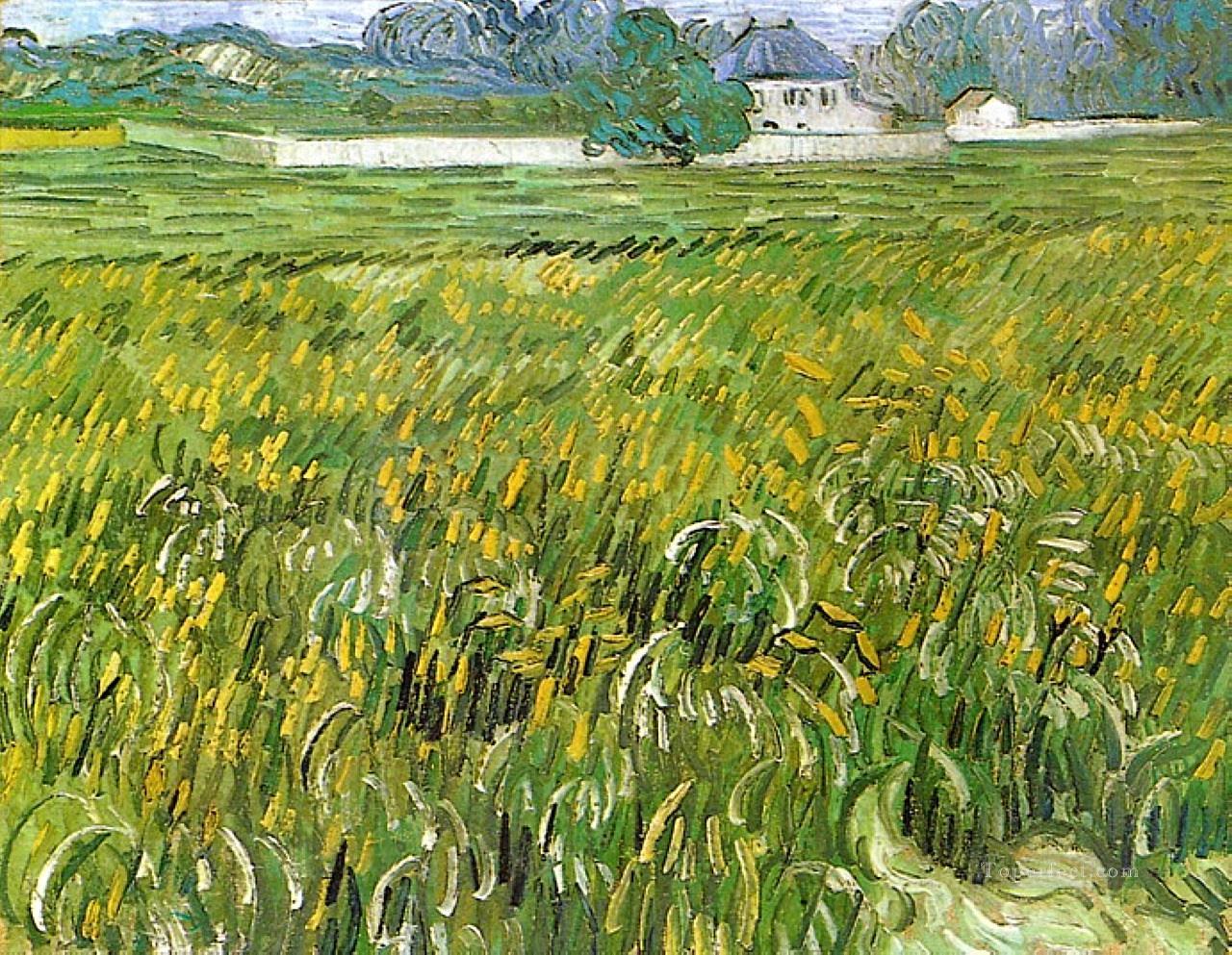 Wheat Field at Auvers with White House Vincent van Gogh Oil Paintings